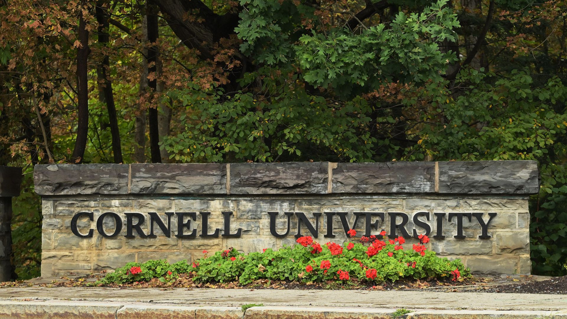 Cornell president calls alleged gang rape ‘deeply disturbing’