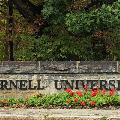 ‘A movement for true change’: Cornell University professor speaks out