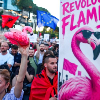 Jared Kushner vs the Flamingos – Albanians protest against luxury resort plans